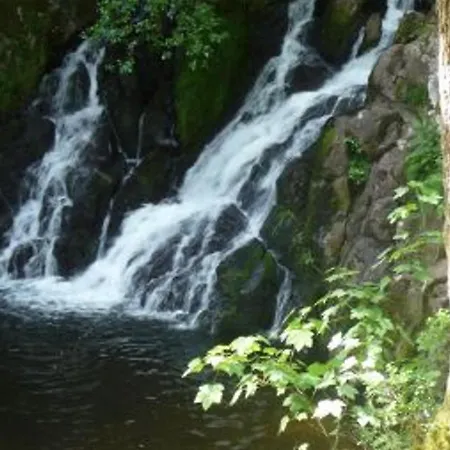 Holiday home Confortable Pres De Gerardmer Avec Cheminee Et Animaux Bienvenus - Fr-1-589-195 *