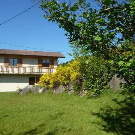 Confortable Pres De Gerardmer Avec Cheminee Et Animaux Bienvenus - Fr-1-589-195 Rochesson