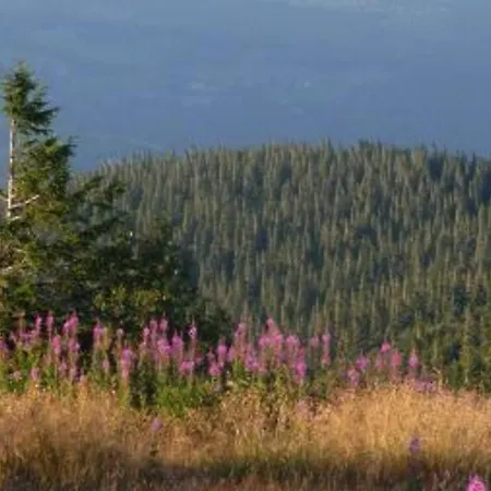 Confortable Pres De Gerardmer Avec Cheminee Et Animaux Bienvenus - Fr-1-589-195 Vakantiehuis Rochesson