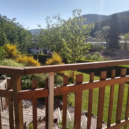 Confortable Pres De Gerardmer Avec Cheminee Et Animaux Bienvenus - Fr-1-589-195 펜션 *