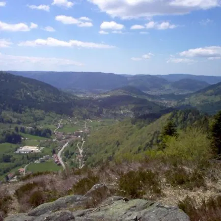 Confortable Pres De Gerardmer Avec Cheminee Et Animaux Bienvenus - Fr-1-589-195 * Rochesson