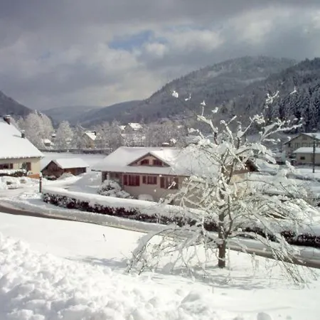 Confortable 3 Chambres, Proche Gerardmer, Avec Garage, Balcon Et Equipements Bebe. - Fr-1-589-195 *