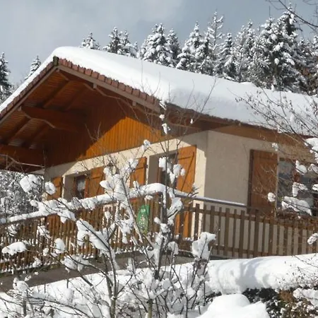 Confortable Pres De Gerardmer Avec Cheminee Et Animaux Bienvenus - Fr-1-589-195