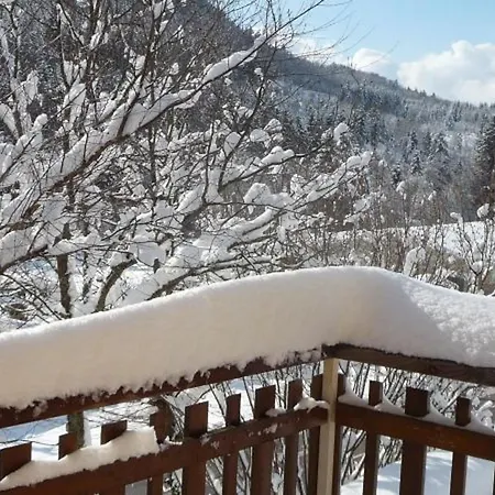 Confortable 3 Chambres, Proche Gerardmer, Avec Garage, Balcon Et Equipements Bebe. - Fr-1-589-195 Holiday home