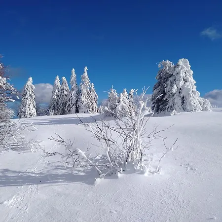Vakantiehuis Confortable Pres De Gerardmer Avec Cheminee Et Animaux Bienvenus - Fr-1-589-195 *