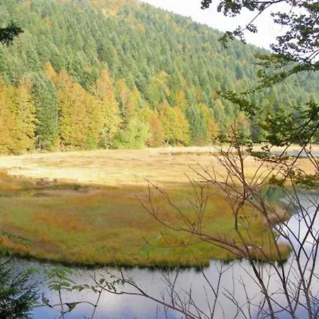 Confortable Pres De Gerardmer Avec Cheminee Et Animaux Bienvenus - Fr-1-589-195