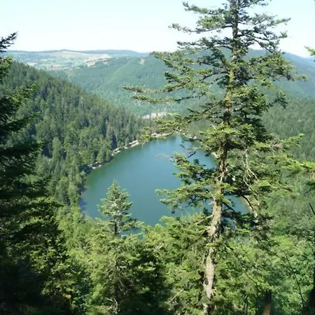 Confortable Pres De Gerardmer Avec Cheminee Et Animaux Bienvenus - Fr-1-589-195 Casa de Férias