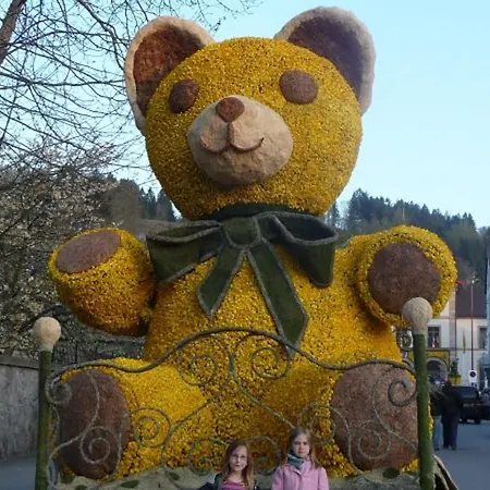 Confortable Pres De Gerardmer Avec Cheminee Et Animaux Bienvenus - Fr-1-589-195 別荘