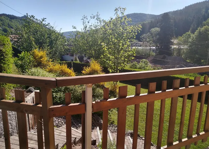 Confortable Pres De Gerardmer Avec Cheminee Et Animaux Bienvenus - Fr-1-589-195 Prázdninový dům *