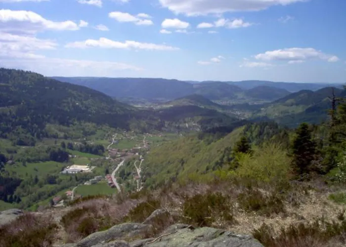 Confortable Pres De Gerardmer Avec Cheminee Et Animaux Bienvenus - Fr-1-589-195 * Rochesson