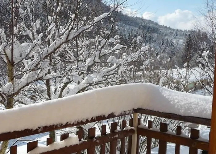Confortable Pres De Gerardmer Avec Cheminee Et Animaux Bienvenus - Fr-1-589-195 Prázdninový dům