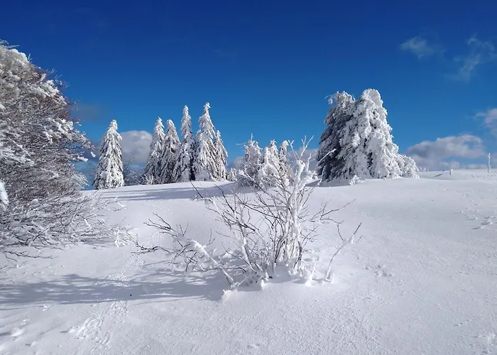 Prázdninový dům Confortable Pres De Gerardmer Avec Cheminee Et Animaux Bienvenus - Fr-1-589-195 *